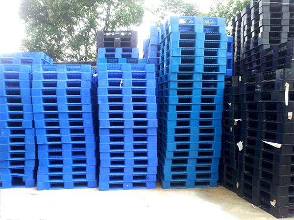 田子網格（gé）